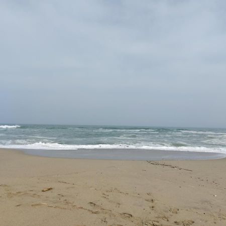 Saint Cyprien - Appart - Piscine-Mer 外观 照片